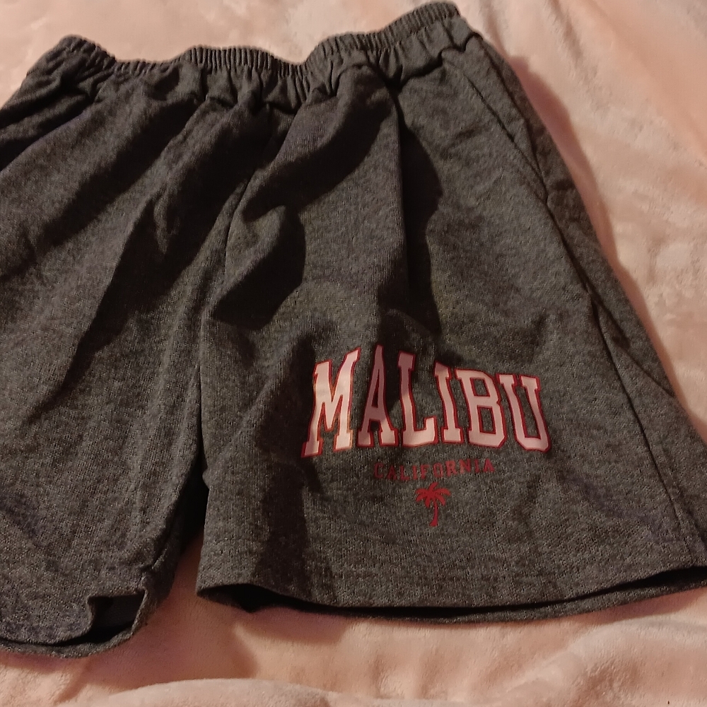 Malibu Gray Men's Shorts
